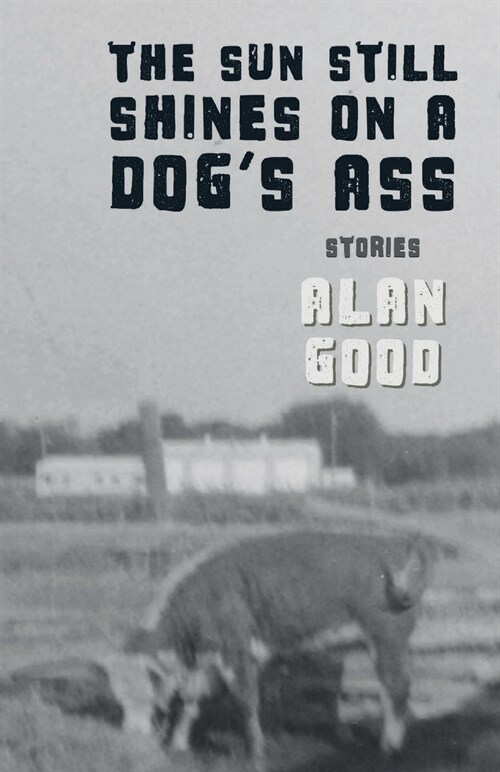 The Sun Still Shines on a Dogs Ass (Paperback)