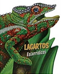 Lagartos escurridizos / Sneaky Lizards (Hardcover, Translation)