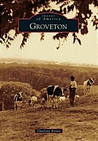 Groveton (Paperback)