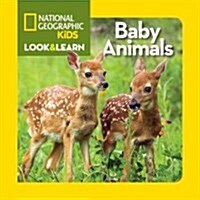 Baby Animals (Board Books)