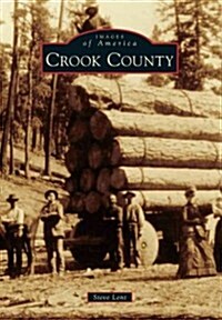 Crook County (Paperback)