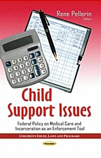 Child Support Issues (Paperback)