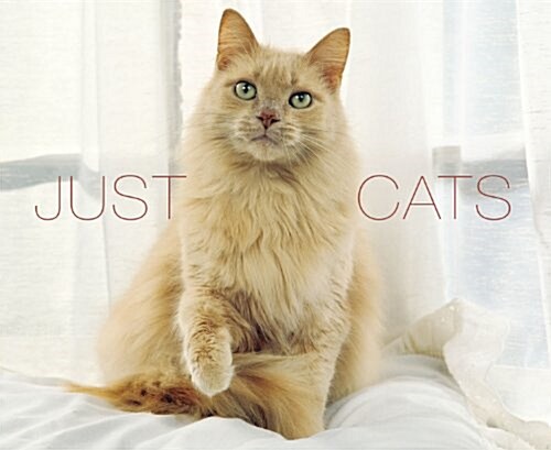 Just Cats (Hardcover)