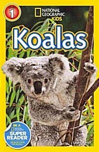 [중고] Koalas (Paperback)