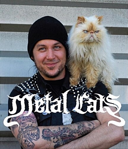 Metal Cats (Paperback)