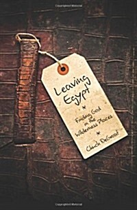 Leaving Egypt: Finding God in the Wilderness Places (Paperback)