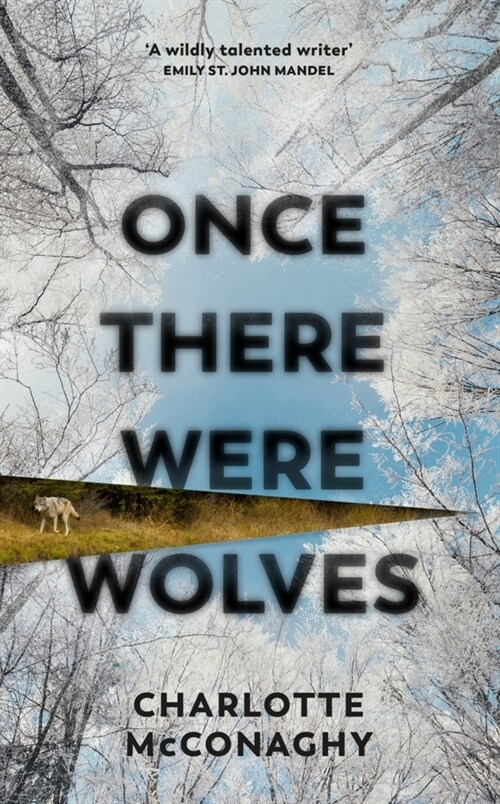 Once There Were Wolves (Paperback)