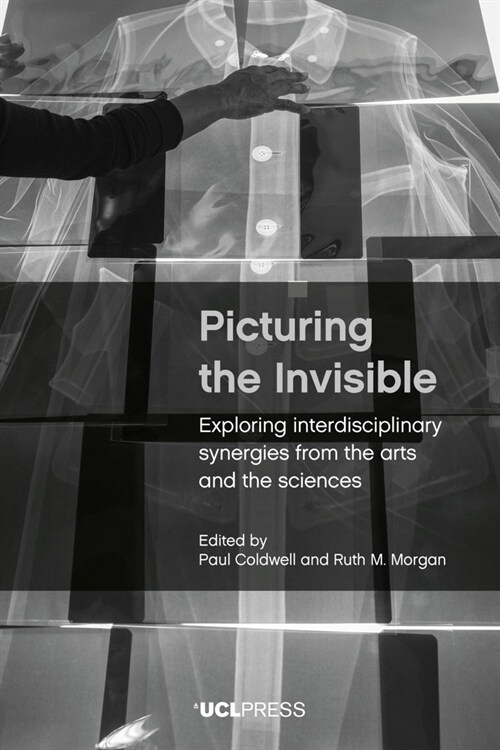 Picturing the Invisible : Exploring Interdisciplinary Synergies from the Arts and the Sciences (Paperback)