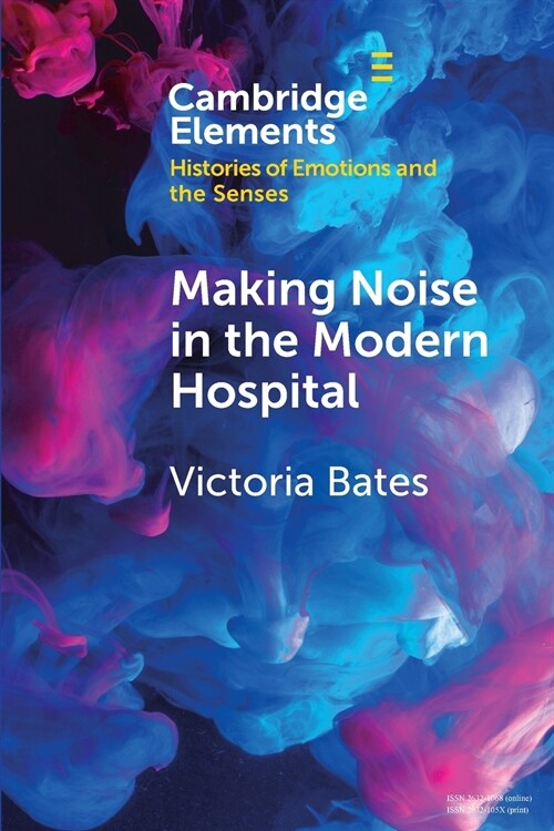 Making Noise in the Modern Hospital (Paperback)