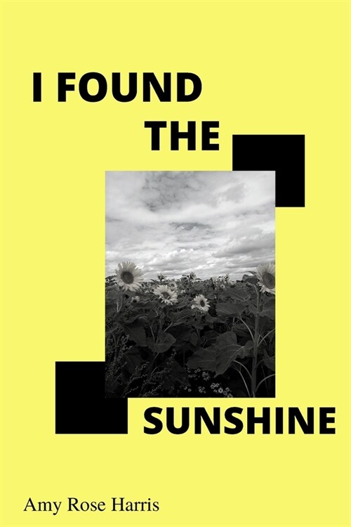 I Found The Sunshine (Paperback)
