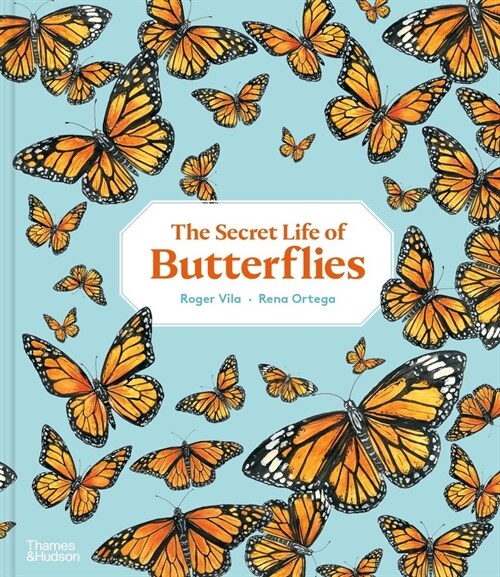 THE SECRET LIFE OF BUTTERFLIES (Hardcover)