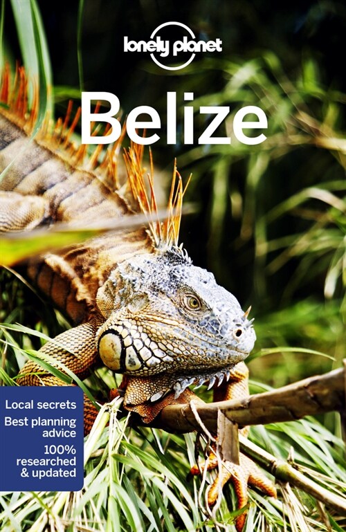 Lonely Planet Belize 8 (Paperback, 8)