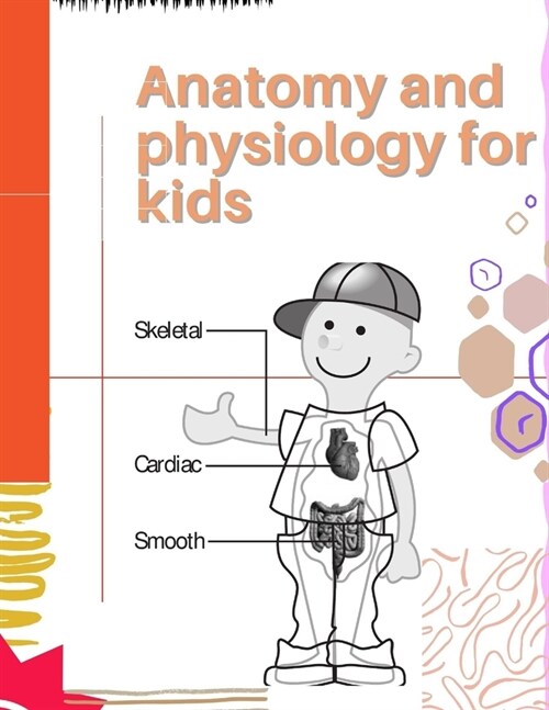 anatomy and physiology for kids: anatomy body model (Paperback)