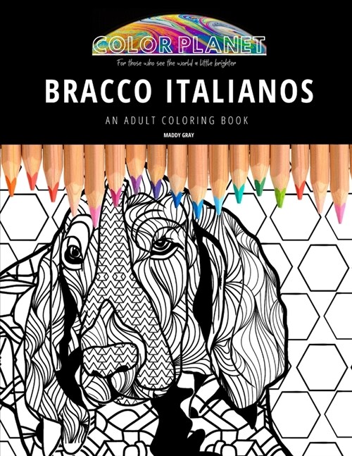 Bracco Italianos: AN ADULT COLORING BOOK: An Awesome Bracco Italiano Adult Coloring Book - Great Gift Idea (Paperback)