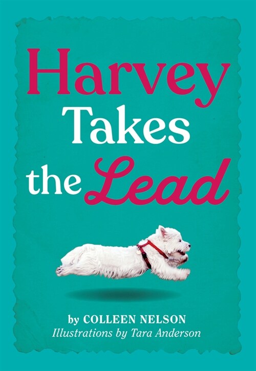 Harvey Takes the Lead (Hardcover)