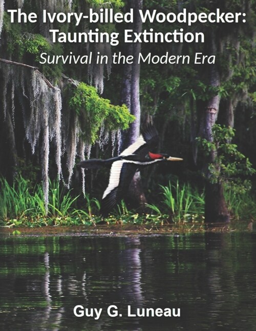 The Ivory-billed Woodpecker: Taunting Extinction: Survival in the Modern Era (Paperback)
