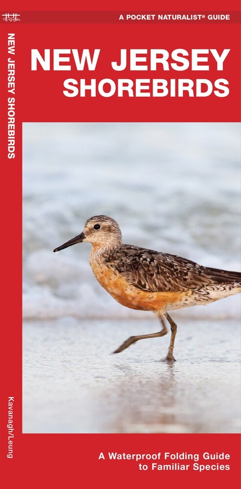 New Jersey Shorebirds: A Waterproof Folding Guide to Familiar Species (Paperback)