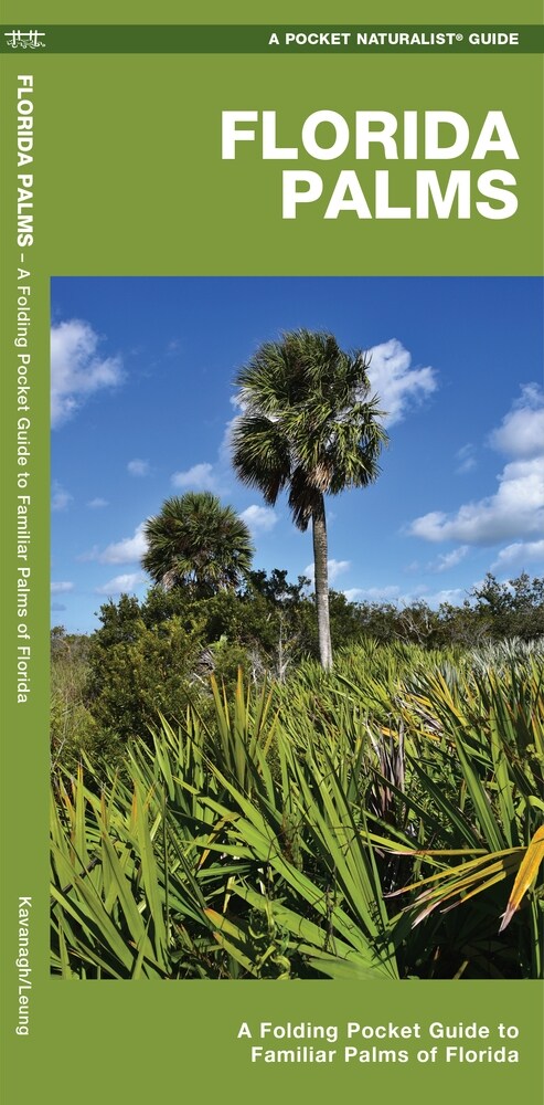 Florida Palms: A Folding Pocket Guide to Familiar Palms of Florida (Paperback)