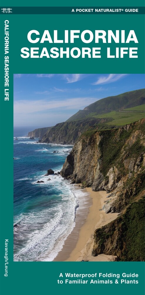 California Seashore Life: A Waterproof Folding Guide to Familiar Animals & Plants (Paperback)