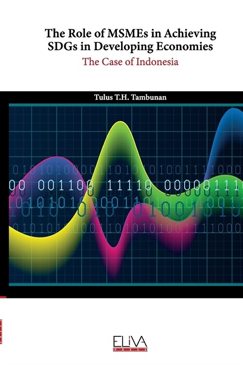 The Role of MSMEs in Achieving SDGs in Developing Economies: The case of Indonesia (Paperback)