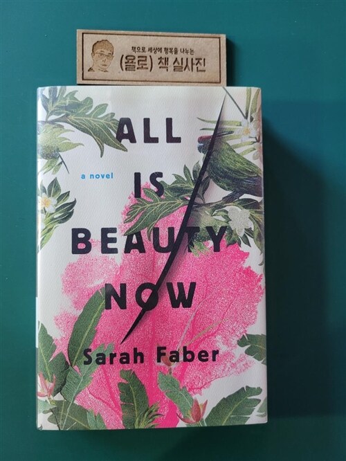 [중고] All Is Beauty Now (Hardcover)