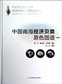 中國南海經濟贝類原色圖谱 (精裝, 第1版)