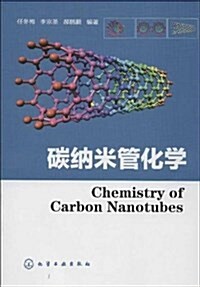 碳納米管化學 (平裝, 第1版)