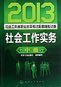 2013社會工作者職業水平考试配套模擬试卷:社會工作實務(中級) (平裝, 第1版)