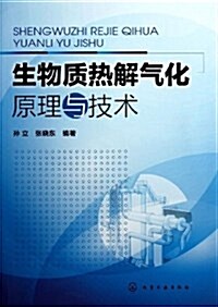 生物质熱解氣化原理與技術 (平裝, 第1版)