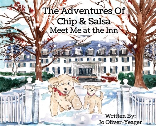 The Adventures of Chip and Salsa: Meet Me at the Inn (Hardcover)