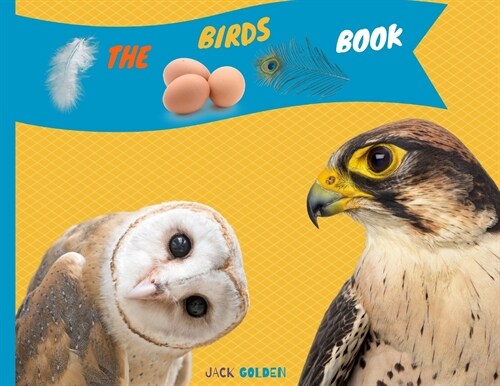 The Birds Book: Explain Interesting and Fun Topics about Animals to Your Child (Paperback)