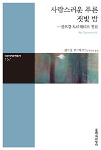 사랑스러운 푸른 잿빛 밤