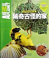 不可思议的動物王國:稀奇古怪的家 (平裝, 第1版)