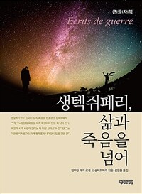 생텍쥐페리, 삶과 죽음을 넘어 :큰글자책 