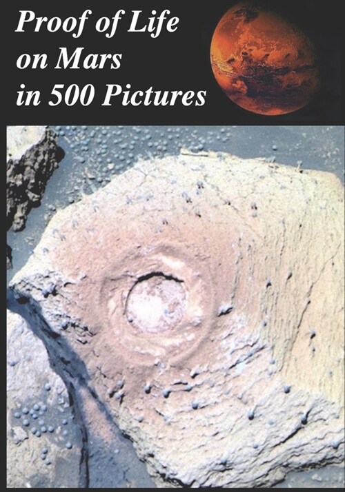 Proof of Life on Mars in 500 Pictures: : Tube Worms, Martian Mushrooms, Metazoans, Microbial Mats, Lichens, Algae, Stromatolites, Fungus, Fossils, Gro (Paperback)