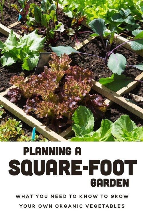Planning A Square-Foot Garden: What You Need To Know To Grow Your Own Organic Vegetables: Square Foot Garden Layout (Paperback)