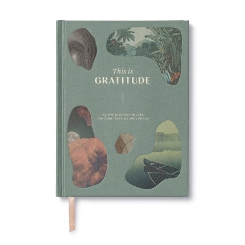 This Is Gratitude: Activities to Help You See the Good Thats All Around You (Hardcover)