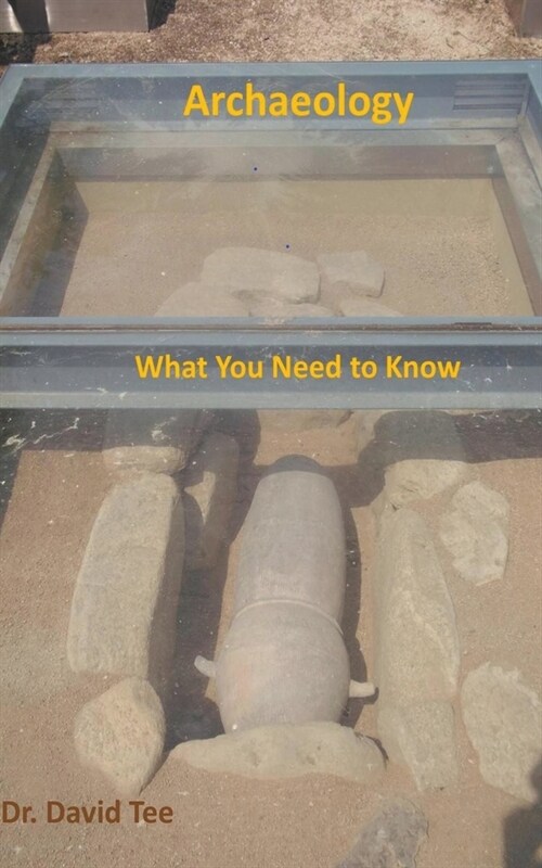 Archaeology: What You Need to Know (Paperback)