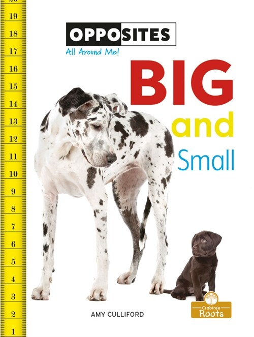 Big and Small (Paperback)