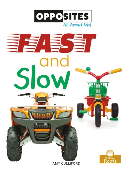 Fast and Slow (Paperback)