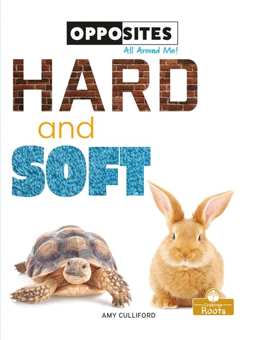 Hard and Soft (Paperback)