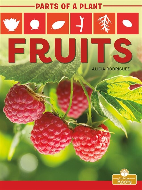 Fruits (Paperback)