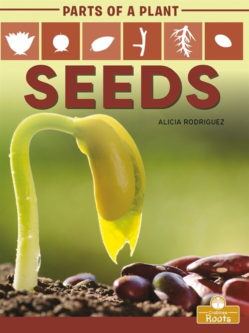 Seeds (Paperback)