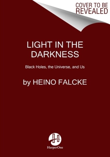 Light in the Darkness: Black Holes, the Universe, and Us (Paperback)