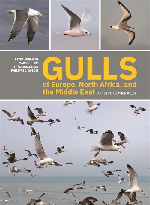 Gulls of Europe, North Africa, and the Middle East: An Identification Guide (Paperback)