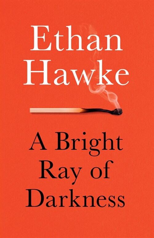 A Bright Ray of Darkness (Paperback)