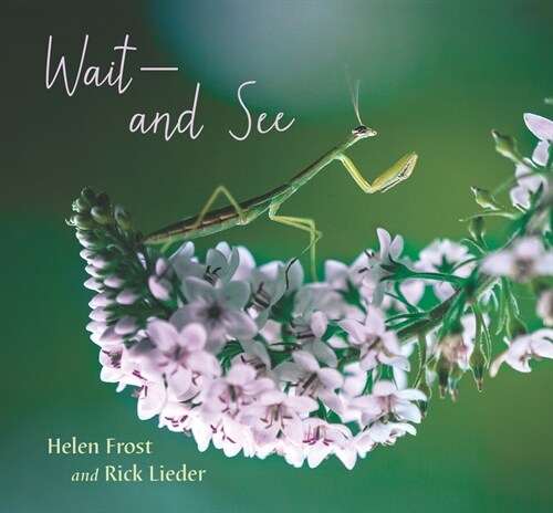 Wait and See (Hardcover)