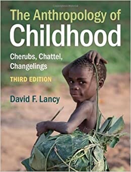 The Anthropology of Childhood : Cherubs, Chattel, Changelings (Hardcover, 3 Revised edition)