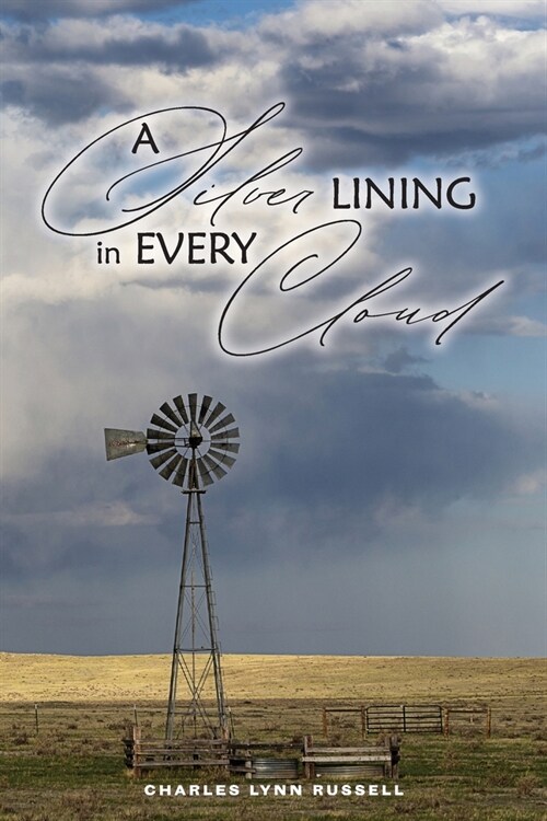 A Silver Lining in Every Cloud (Paperback)
