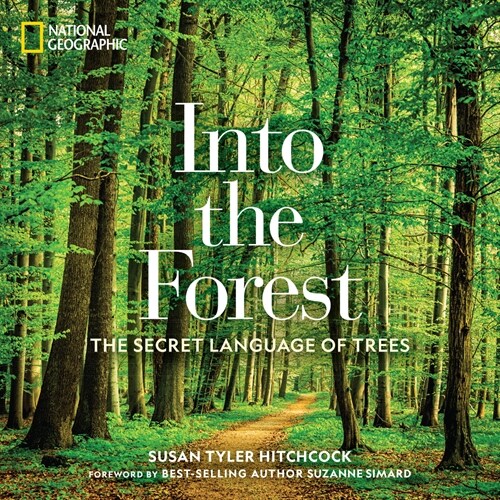 Into the Forest: The Secret Language of Trees (Hardcover)